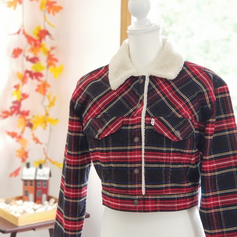 🚫SOLD🚫 Levi's Ex-boyfriend Plaid Trucker Jacket - Picture 2 of 7